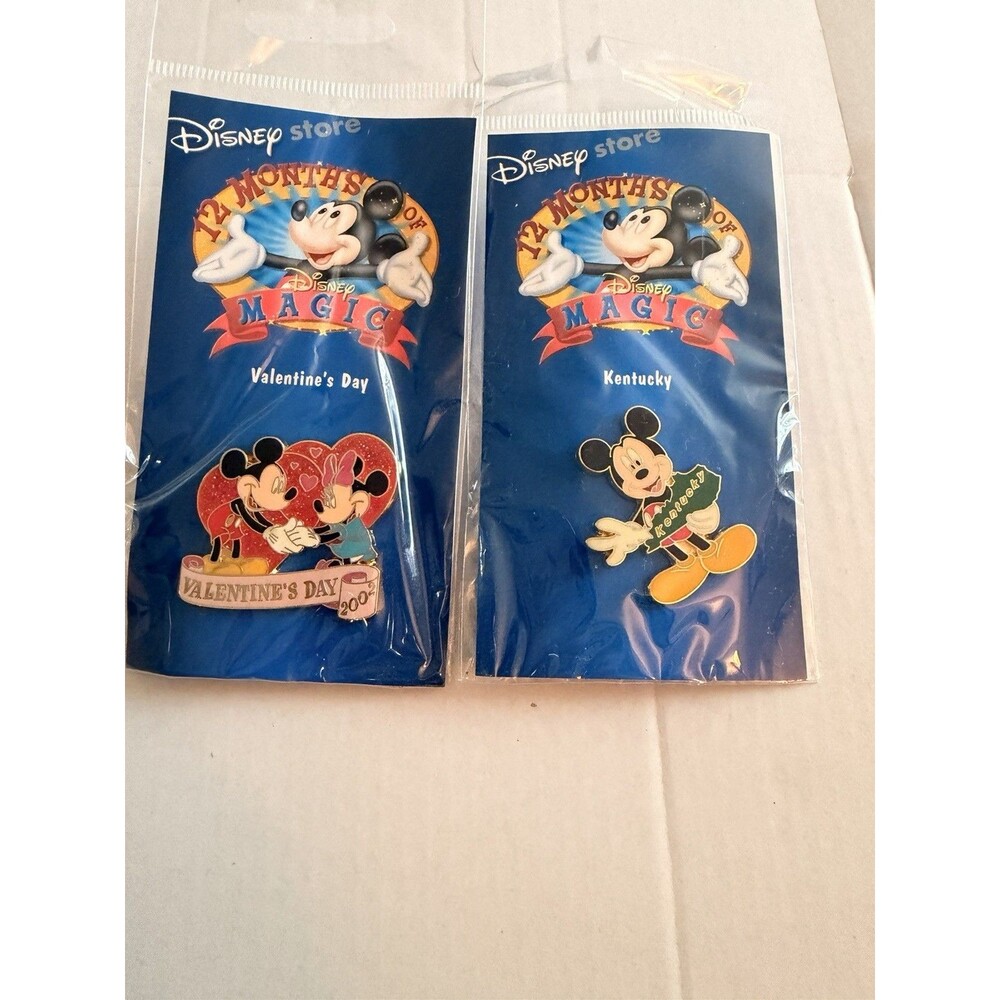 Disney Store 12 Months of Magic Pins Lot Valentine's Day Kentucky Mickey Minnie